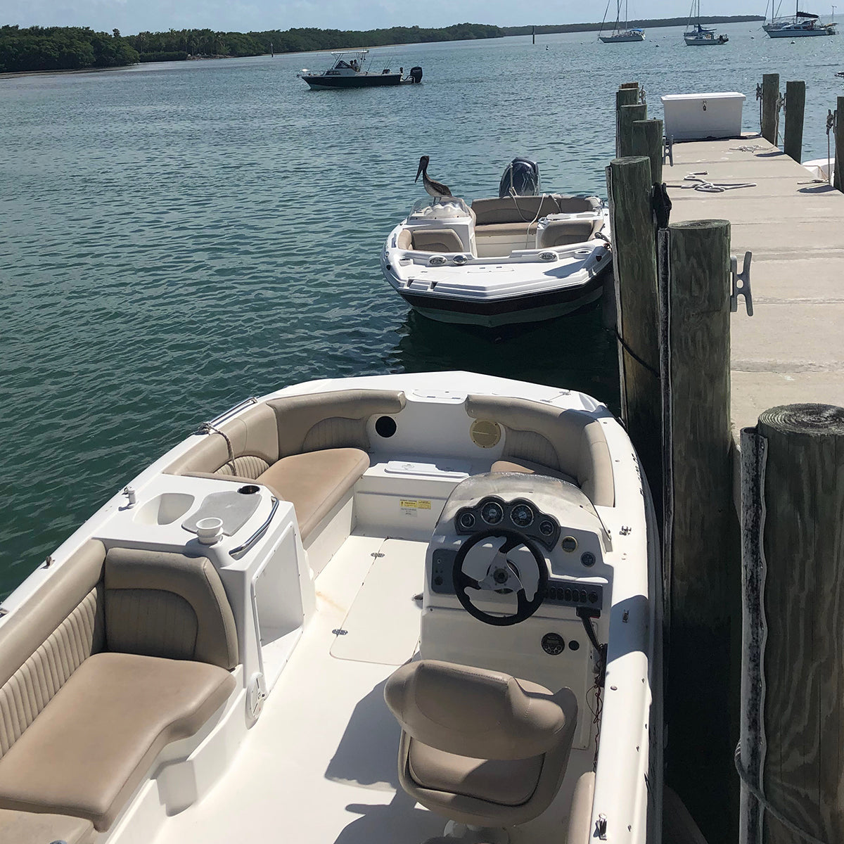 20' Nautic Boat Rental In Miami Captain Hook Boat Rentals In Miami